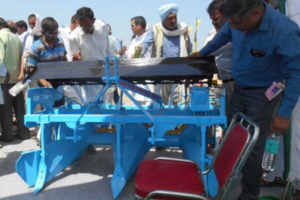 रेज्ड बेड प्लांटर: करे एक साथ कई काम
