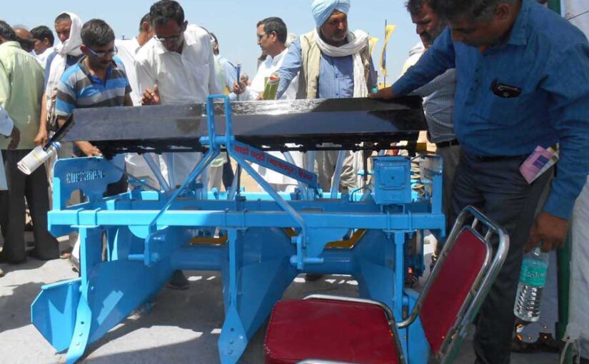 रेज्ड बेड प्लांटर: करे एक साथ कई काम