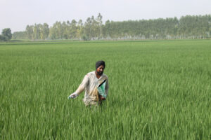 आखिर ठगी के शिकार क्यों होते हैं किसान