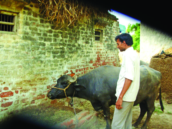 अप्रैल माह के खास काम