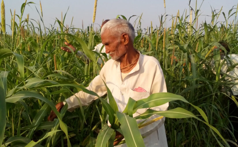 मोटे अनाज और जैविक खेती अपनाएं किसान- साभा कुंवर कुशवाहा