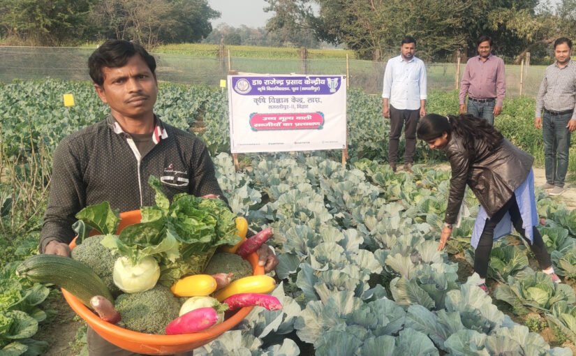 पोषण वाटिका में पूरे साल सब्जियां