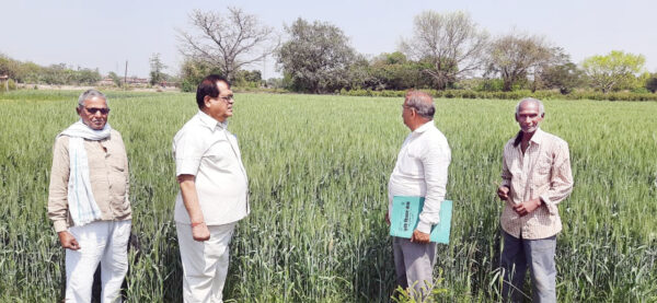प्रो. रवि प्रकाश मौर्य की किसानों को सलाह – तैयार फसल का रखें  खास ध्यान