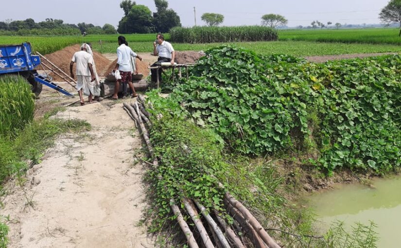 नमो चौपाल के जरीए कृषि वैज्ञानिक देंगे खेतीकिसानी की जानकारी