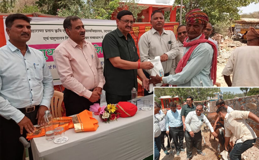 पशुओं में लंपी वायरस के नियंत्रण के लिए टीकाकरण का शुभारंभ