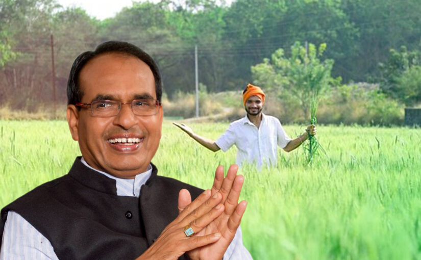 Fertilizers : नकली और घटिया गुणवत्ता वाले उर्वरकों को जड़ से खत्म करना है