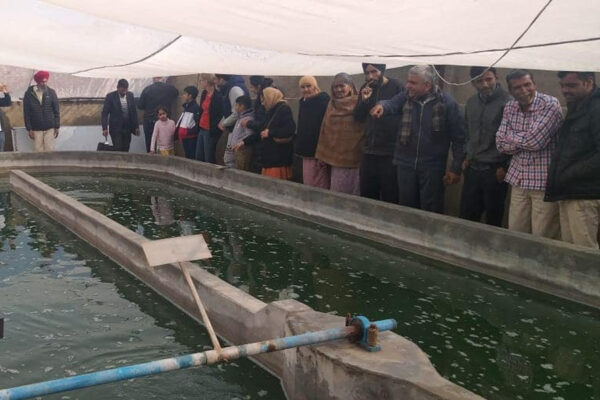 स्पिरुलिना खेती को बनाएं उन्नति का आधार