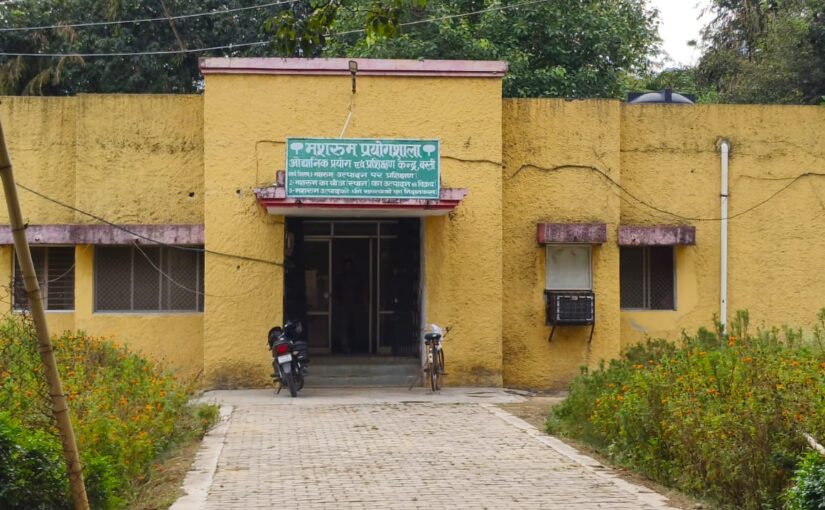 उत्तर प्रदेश के बस्ती जिले में मशरूम प्रशिक्षण केंद्र