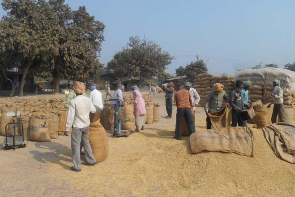 ‘एमएसपी’ में बढ़ोत्तरी : किसानों को कितना होगा फायदा?