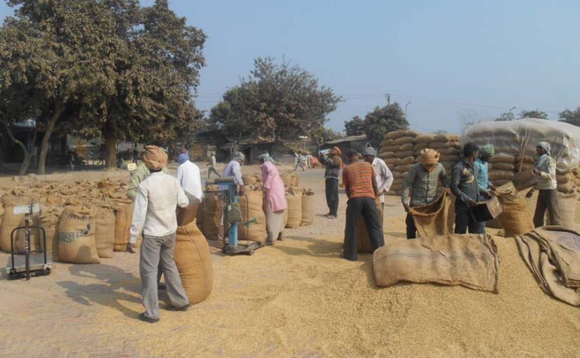 ‘एमएसपी’ में बढ़ोत्तरी : किसानों को कितना होगा फायदा?