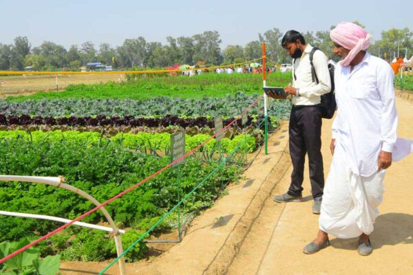 खेती में आधुनिक तकनीकें अपनाने से खर्च कम,उपज अधिक