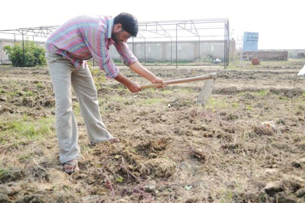 बाग लगाने के लिए गड्ढे करें तैयार
