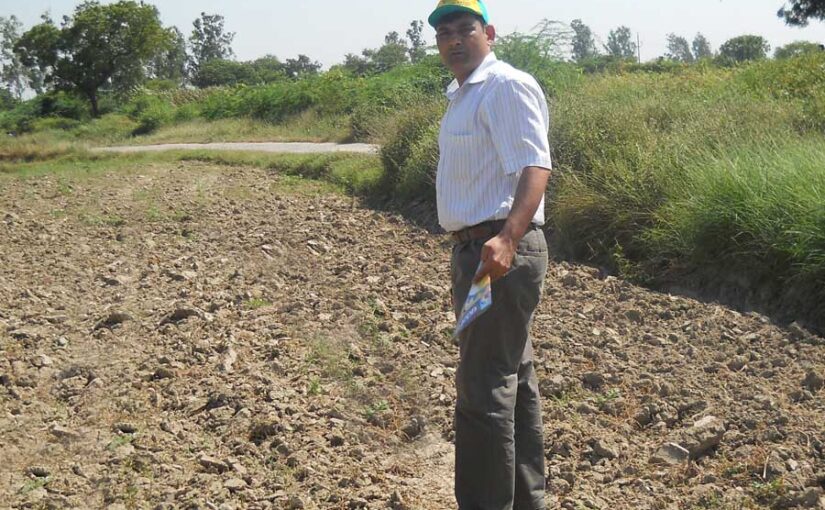 फसलों के लिए लाभकारी ग्रीष्मकालीन जुताई