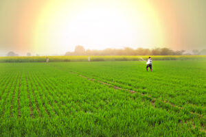farming