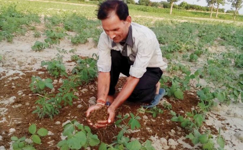 जैविक खेती से सुधरे जमीन की सेहत