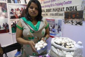 mushroom farming