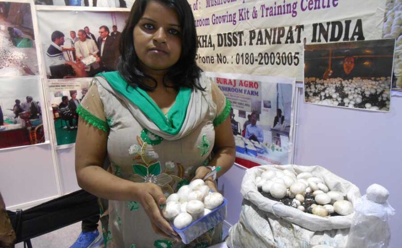 मशरूम खाएं इम्यूनिटी बढ़ाएं
