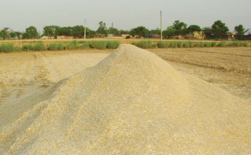 नया भूसा कितना फायदेमद