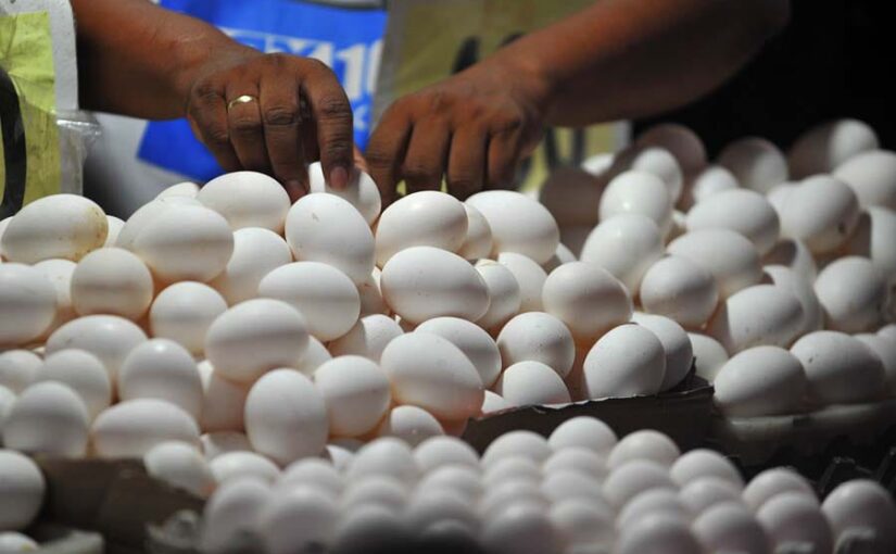 भारत दुनिया में अंडा उत्पादन में तीसरे स्थान पर