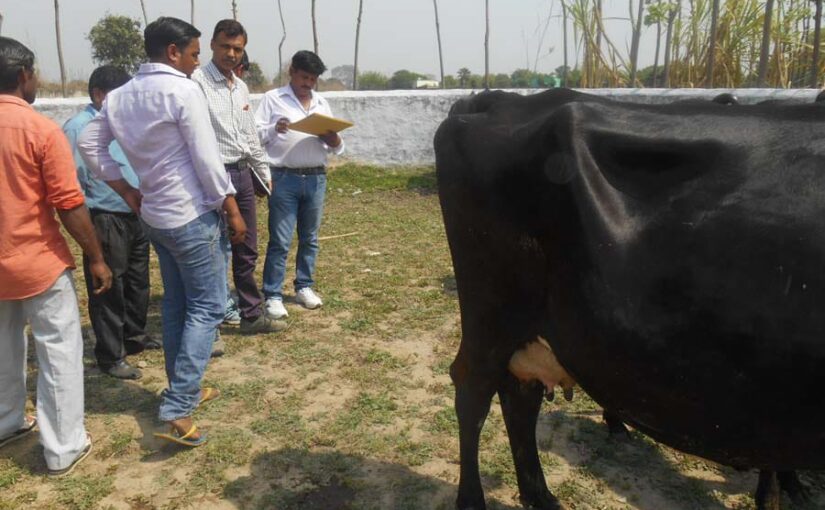 मोबाइल पशु चिकित्सा इकाइयों के माध्यम से घरों पर पशु चिकित्सा सेवा