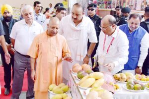 mango festival