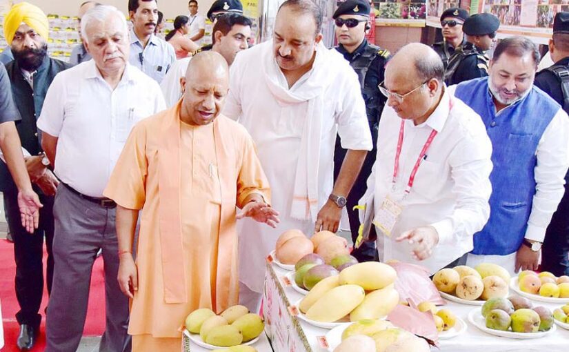 आम महोत्सव में मेरठ के आमों की रही गूंज