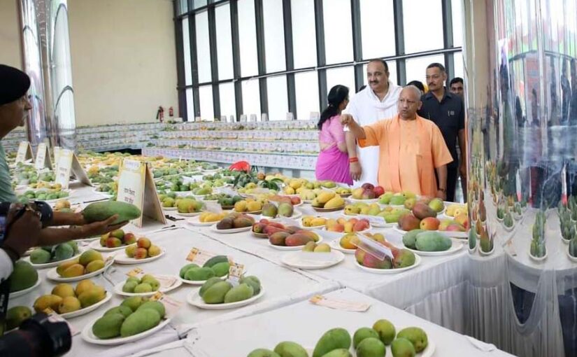 लखनऊ के अवध शिल्पग्राम मेले में आम महोत्सव की धूम – आम की महक विदेशों तक पहुंची