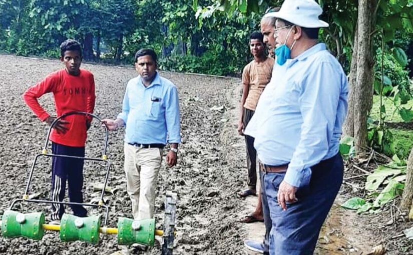 ड्रम सीडर से सीधे बोआई