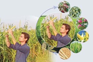 Farming