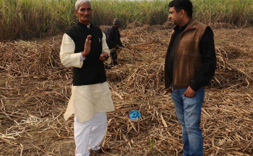गन्ने का कचरा भी है कीमती