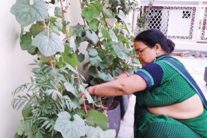 Home Garden