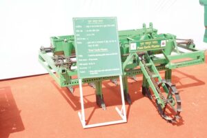 Garlic Planter
