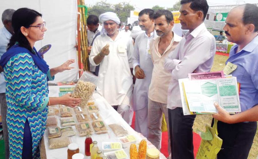 मक्का के पौष्टिक लाजवाब स्वाद