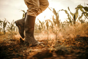 Agriculture Boots