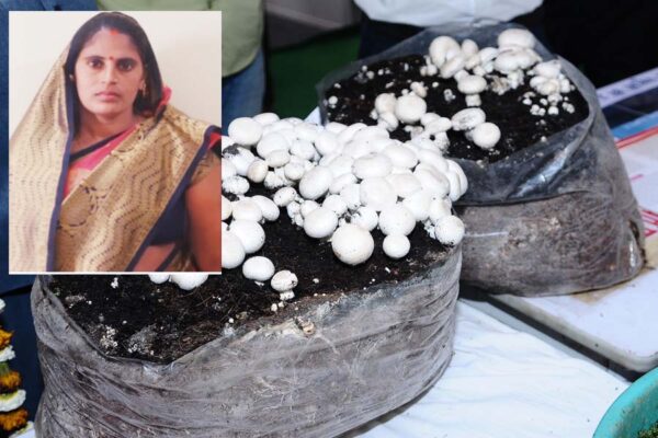 सोनी देवी: मशरूम उत्पादन से  स्वावलंबन की ओर