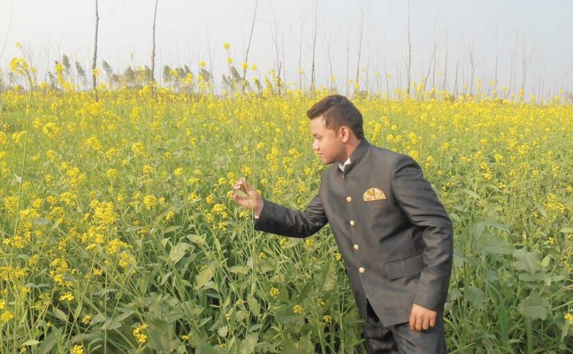 तोरिया की खेती