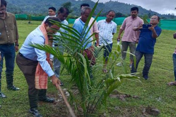 राष्ट्रीय खाद्य तेल मिशन- औयल पाम के तहत मेगा पौधरोपण अभियान