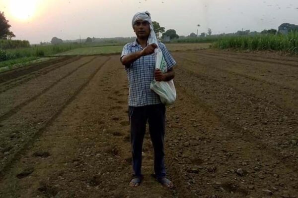 अगस्त माह में निबटाएं खेती से जुड़े जरूरी काम