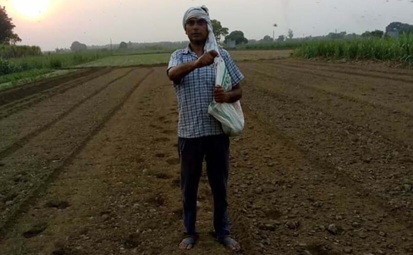 अगस्त माह में निबटाएं खेती से जुड़े जरूरी काम