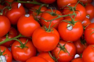Tomato