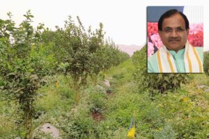 Farming News
