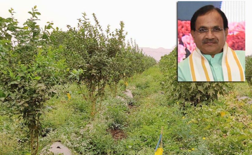 वैकल्पिक उर्वरकों को प्रोत्साहन देने के लिए कदम