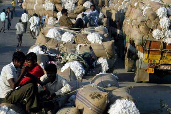 कपास किसानों के लिए मोबाइल एप