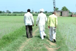 Farming