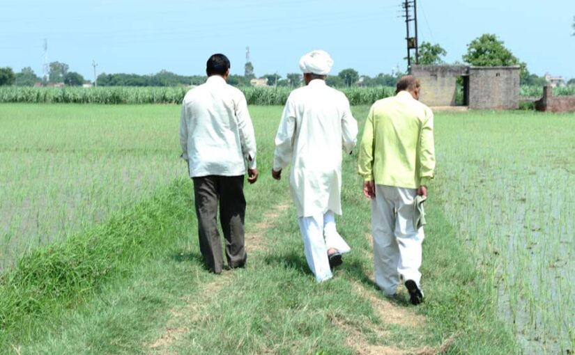 उत्तर प्रदेश के 137 गावों में होगी चकबंदी : क्या है हकीकत