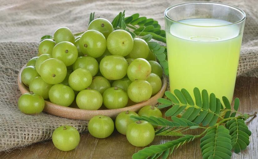 प्रसंस्करण उद्योग में आंवला और विकसित प्रजातियां