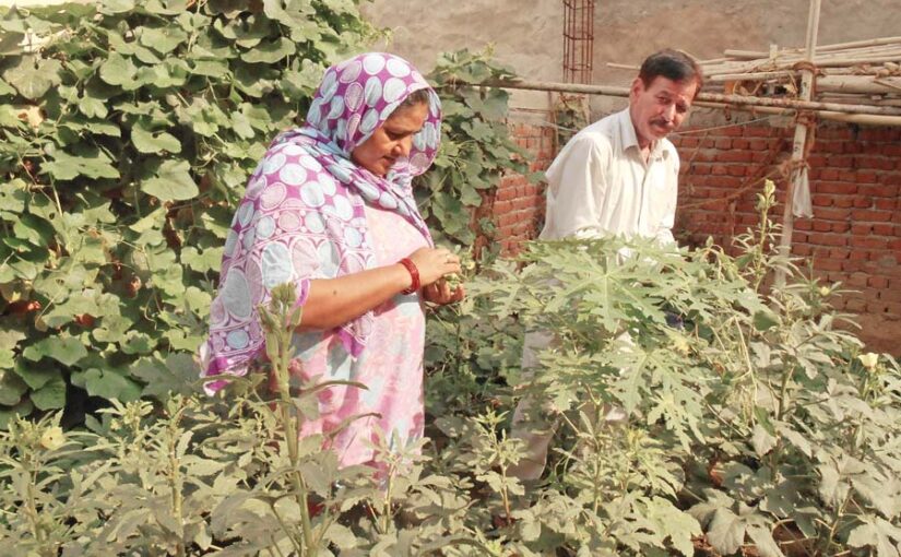 आदर्श पोषण वाटिका से स्वच्छ और संतुलित आहार