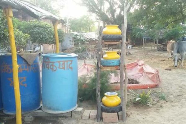 पशुओं का पौष्टिक चारा ज्वार