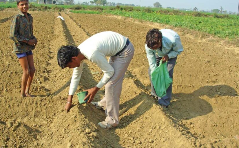 नवंबर महीने से जुड़े  खेतीकिसानी के काम