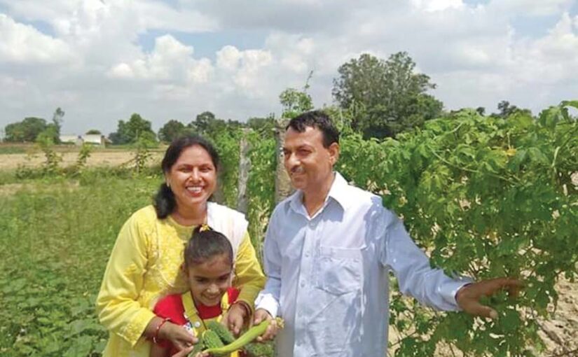 खेती को बनाएं फायदेमंद